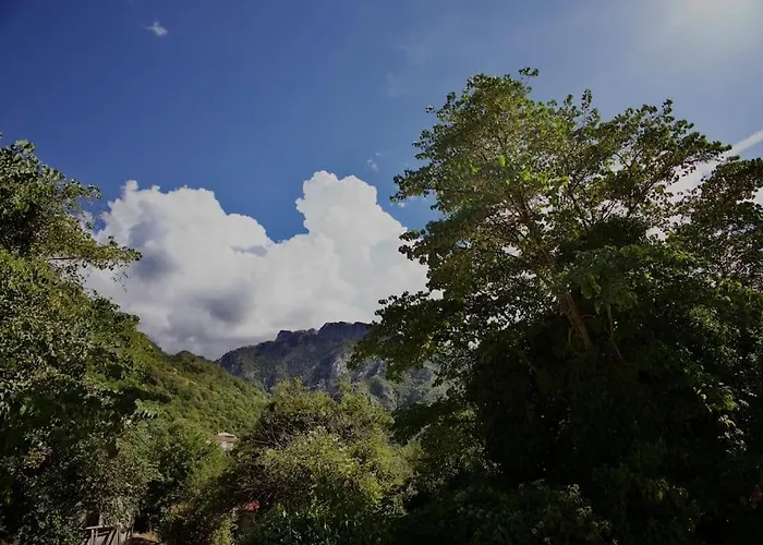 Mountain Harmony Home